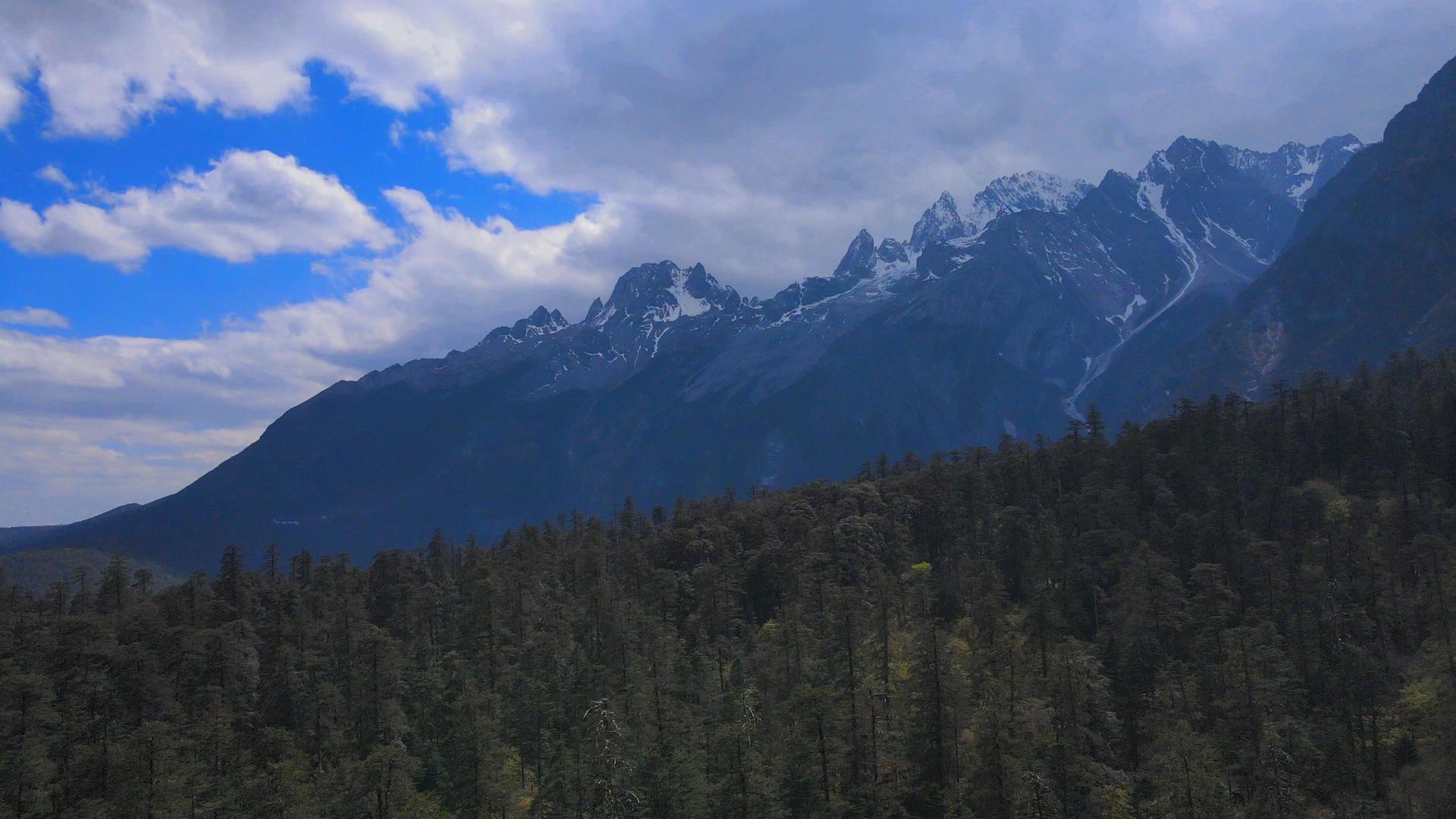 4k森林高山草甸雪山高原航拍视频的预览图