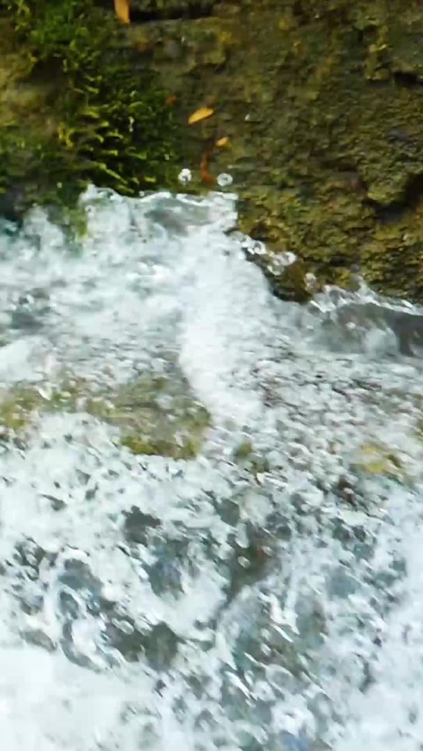 小溪流水升级视频的预览图
