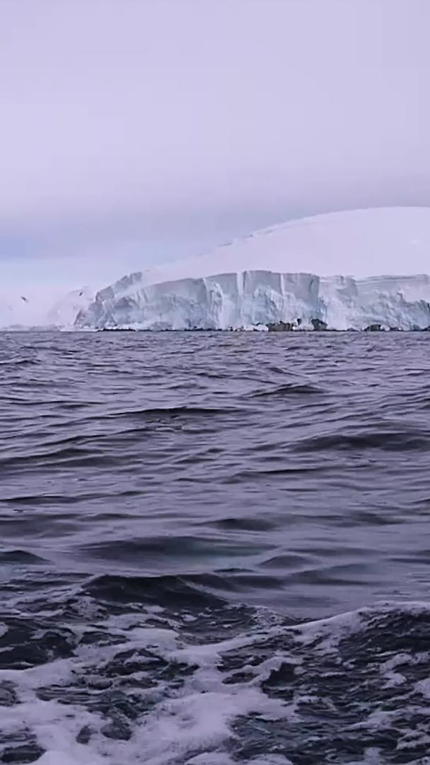 南极大陆实拍视频视频的预览图