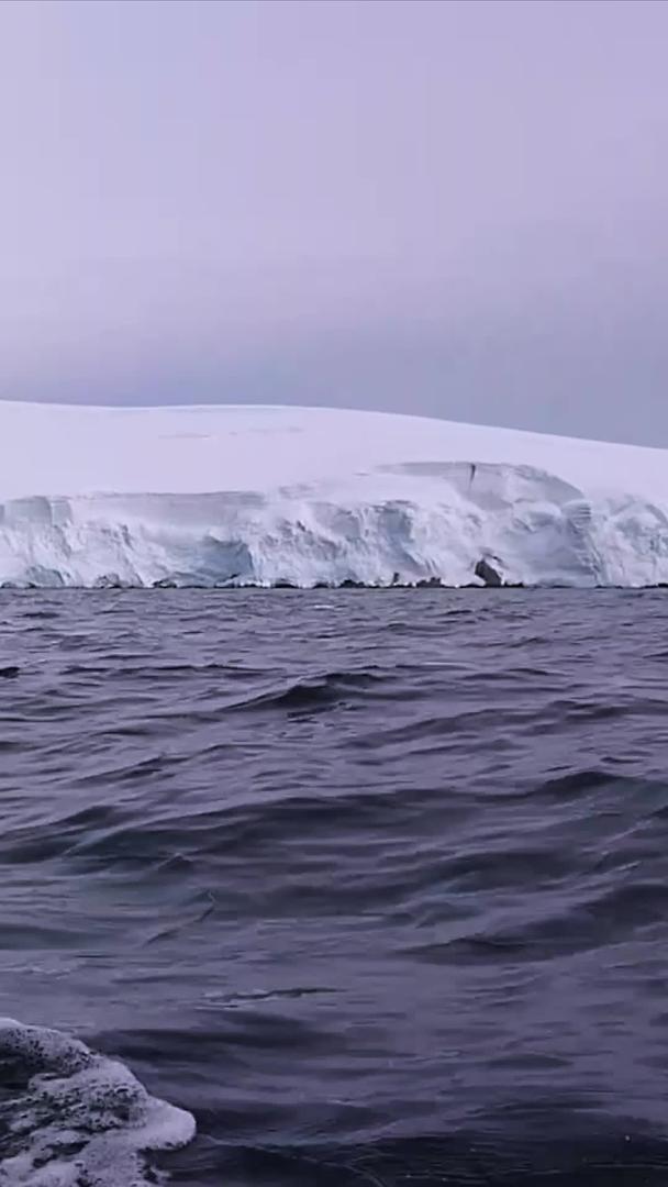 南极大陆实拍视频视频的预览图
