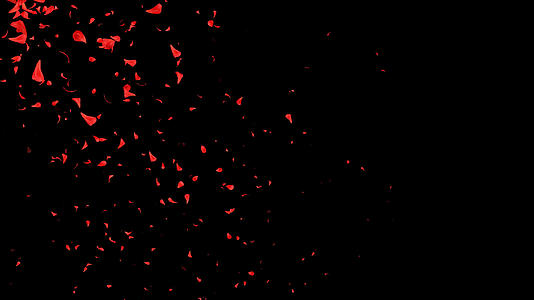 唯美红色花瓣飘落背景视频的预览图