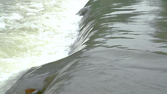 河川水坝流过的水流视频的预览图