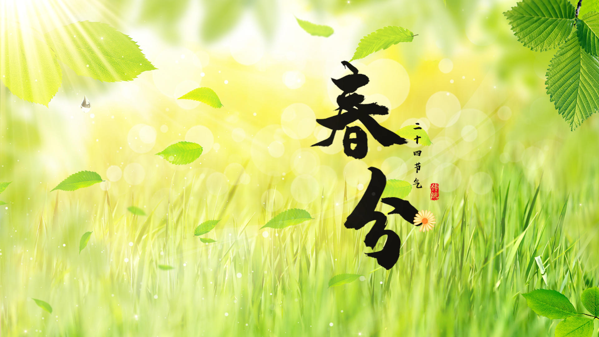中国传统节日春分片头PR模板视频的预览图