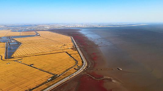 4K水稻麦田红海滩交界国家风景廊道5A视频的预览图