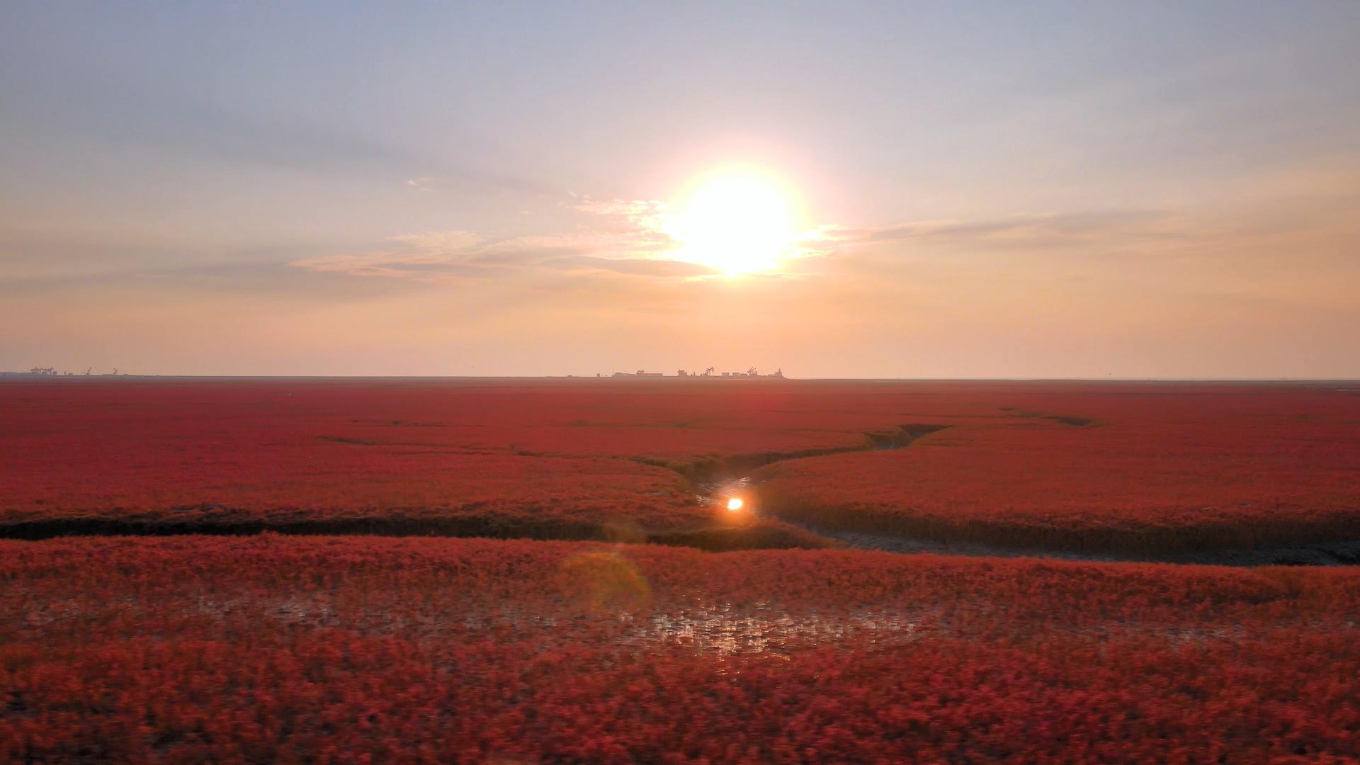 4K红海滩国家风景廊道落日夕阳视频的预览图