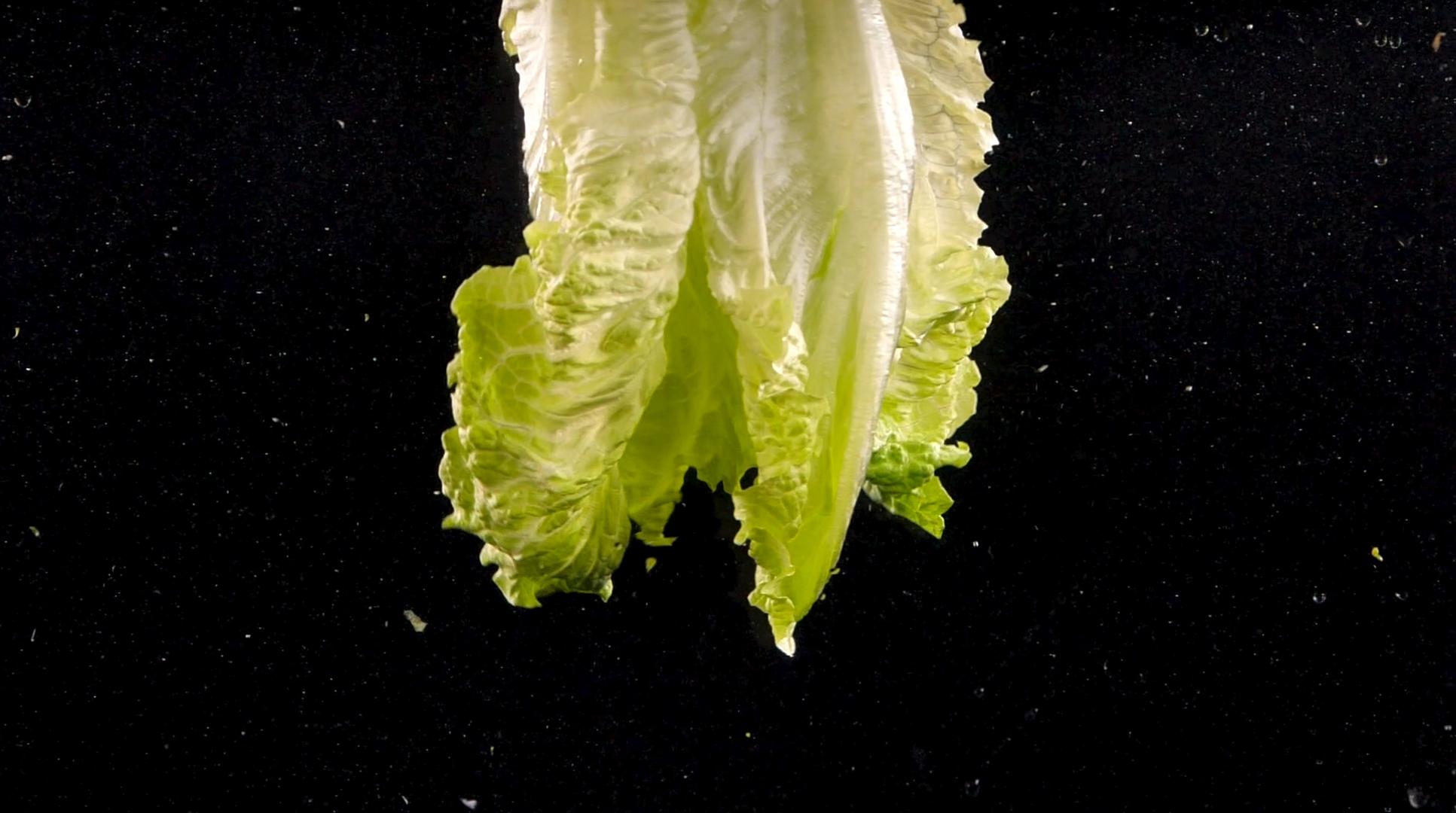 生菜蔬菜造型升格1000帧升格视频视频的预览图