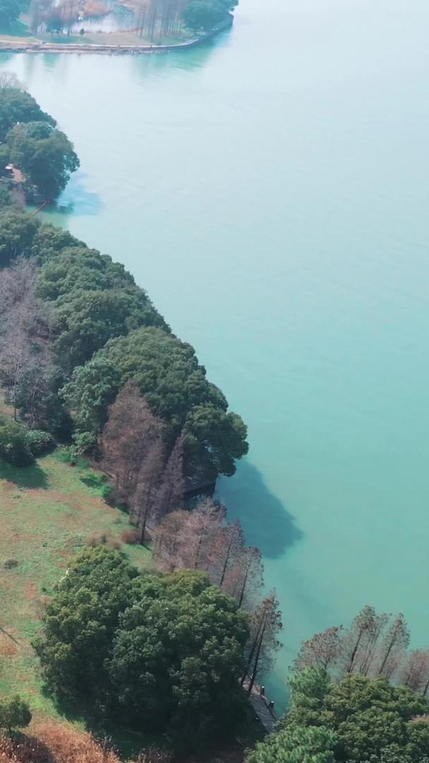 【旅游宣传片】上海航拍淀山湖合集视频的预览图