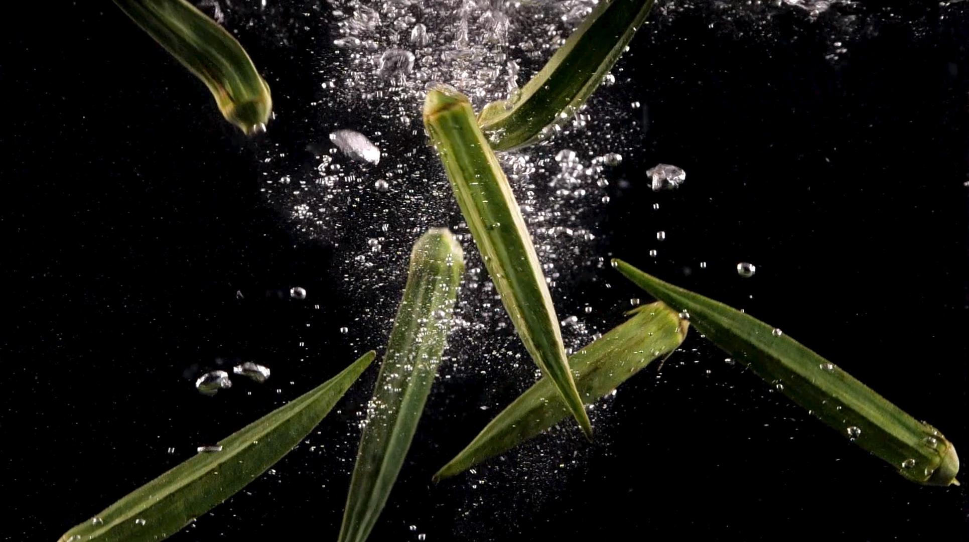 秋葵蔬菜入水造型1000帧升格视频视频的预览图