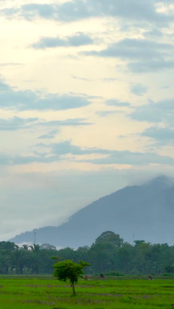 山中云雾飘散延时集合视频的预览图