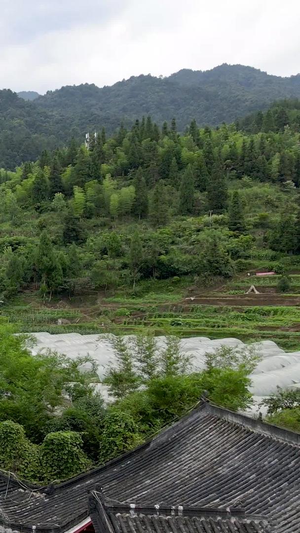 贵州省铜仁市亚木沟风景区自然风景视频的预览图