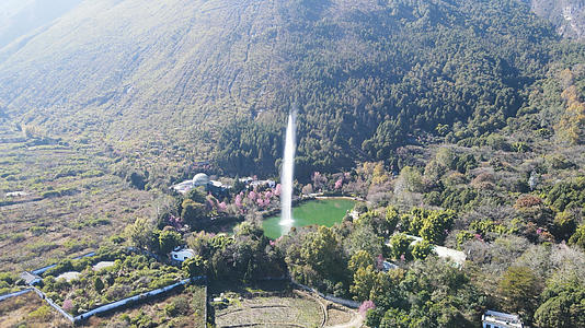 大理蝴蝶泉著名景区景点云南旅游4k视频的预览图
