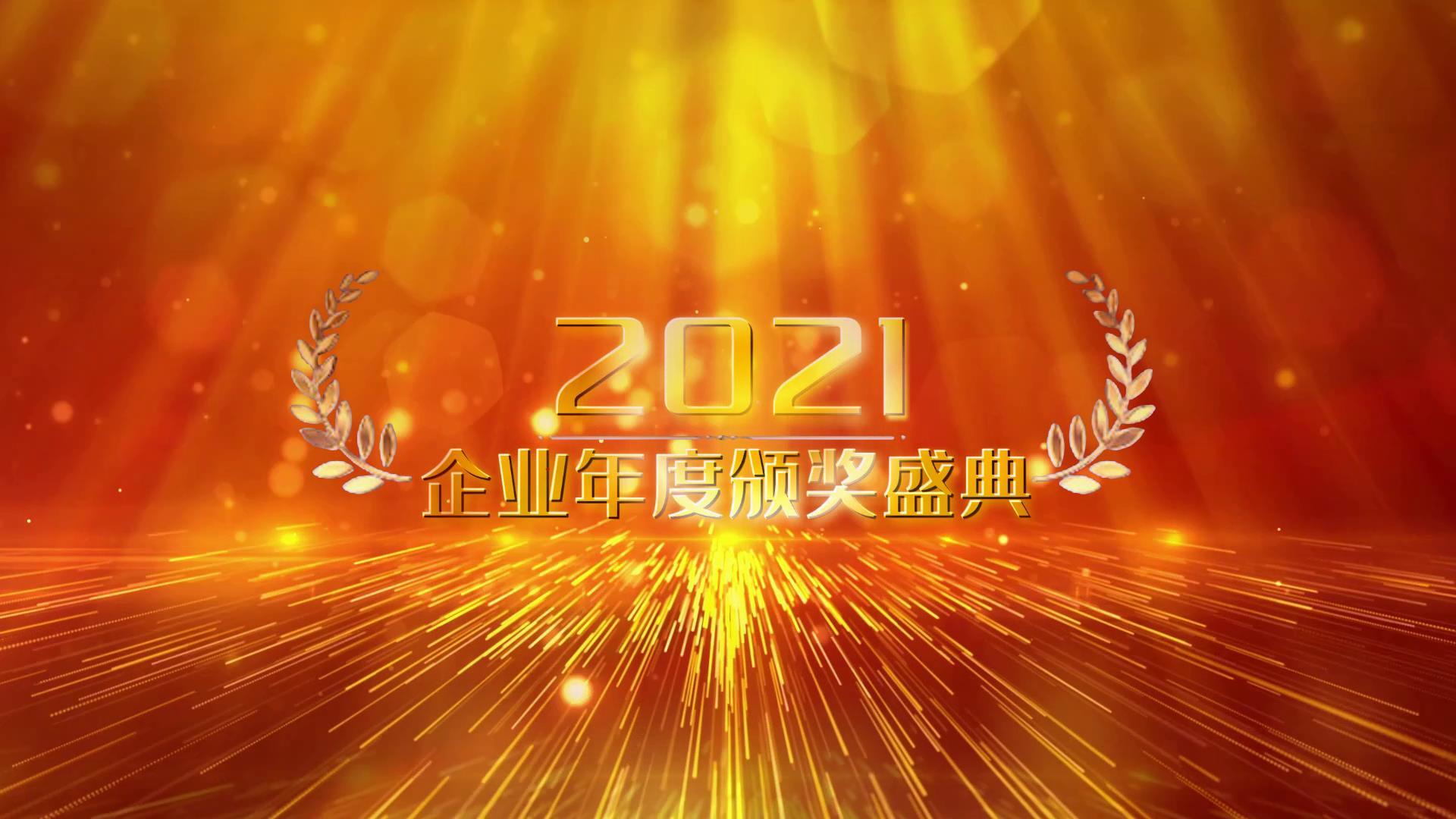 2021年度表彰大会颁奖典礼宣传展示视频的预览图