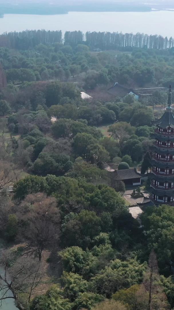 上海大观园视频的预览图