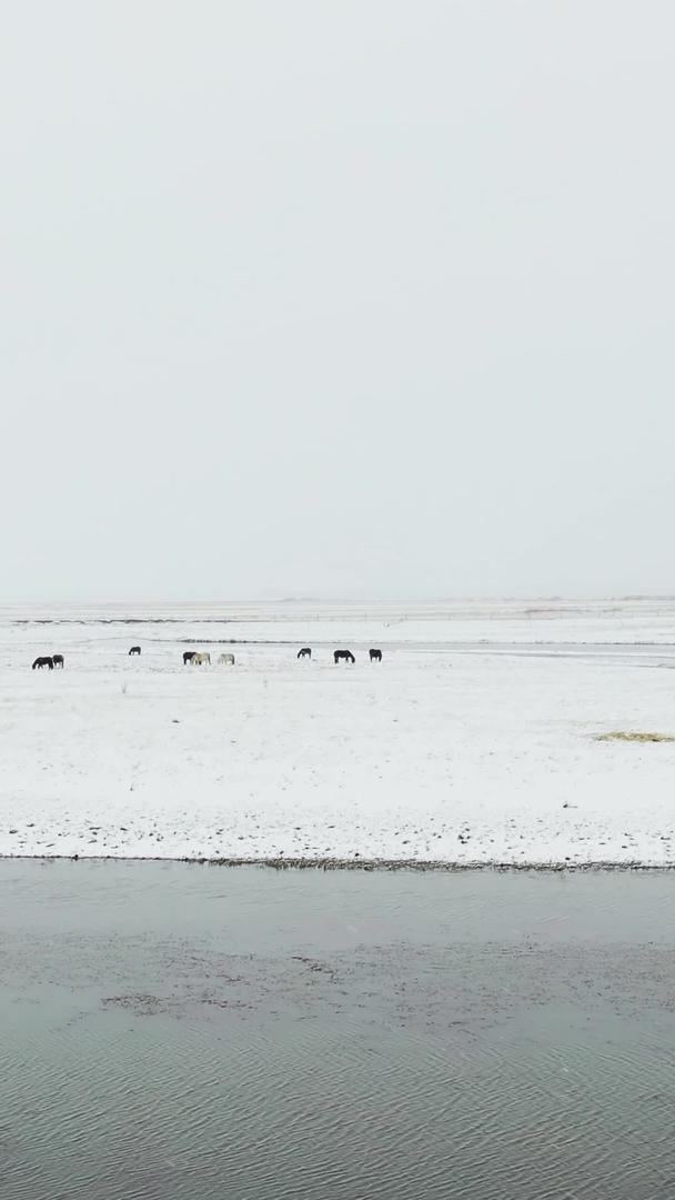 红原大草原月亮湾景区雪景航拍视频视频的预览图