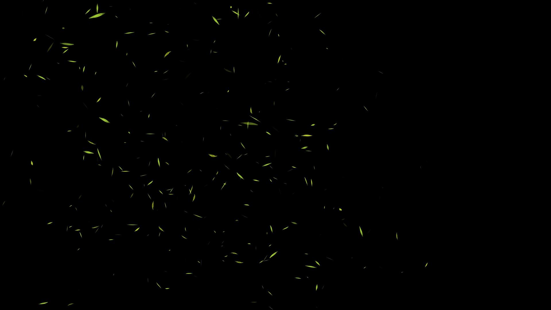 4K动态绿色飘落动态透明背景视频素材视频的预览图