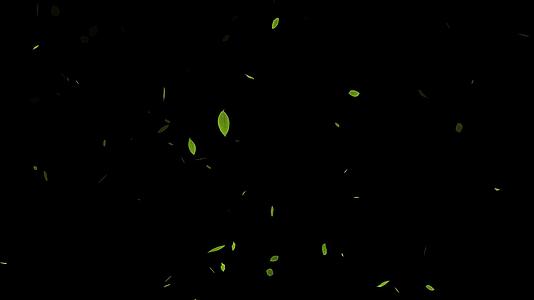 4K透明背景绿色飘动树叶下落视频素材视频的预览图