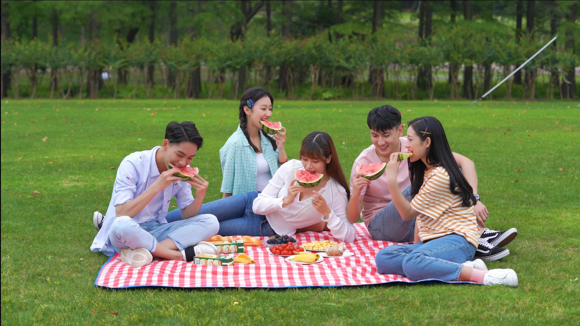 4k年轻人坐在草地吃西瓜避暑视频的预览图