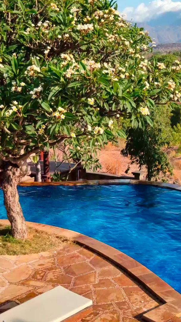 私人游泳池在巴厘岛酒店内部视频的预览图