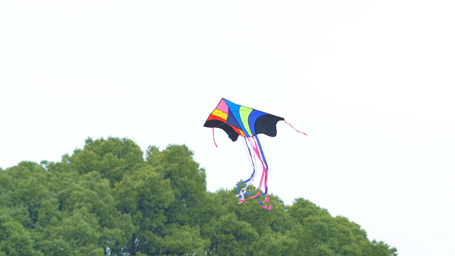 4k天空中的风筝视频的预览图