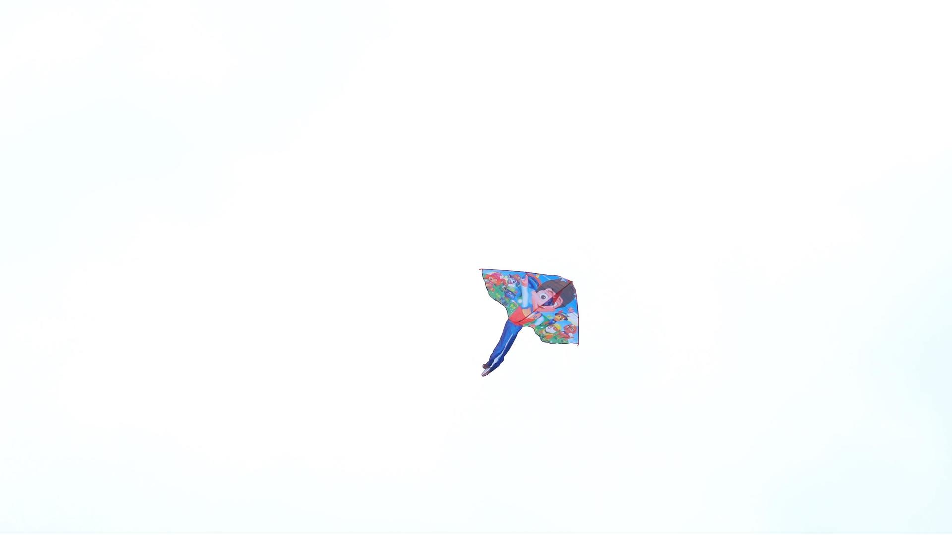 4k天上飞的风筝视频的预览图