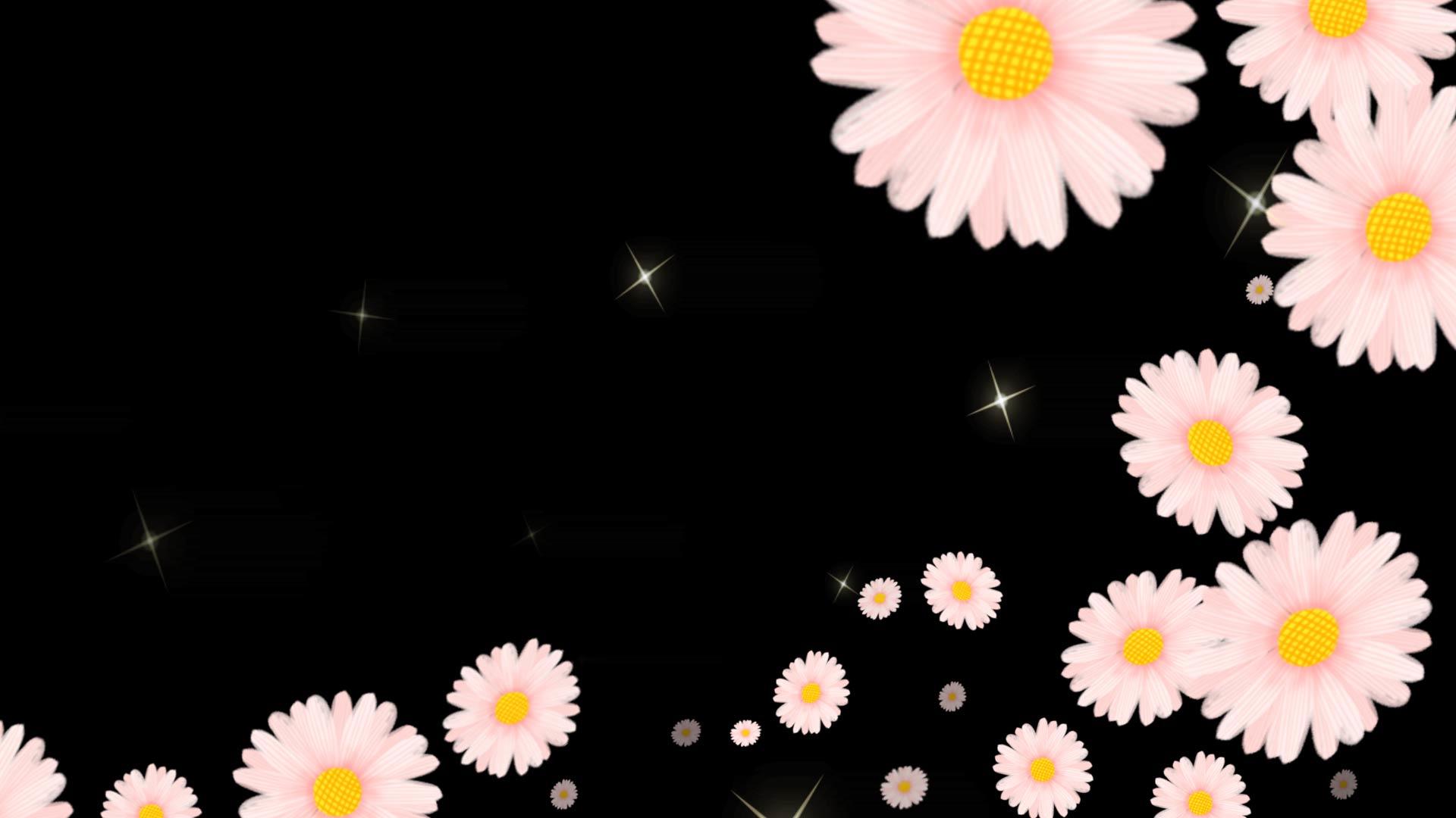 粉色花卉转动透明通道边框视频的预览图