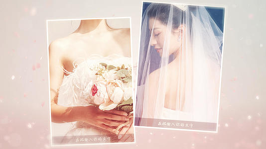 白色简洁浪漫婚礼展示模板视频的预览图