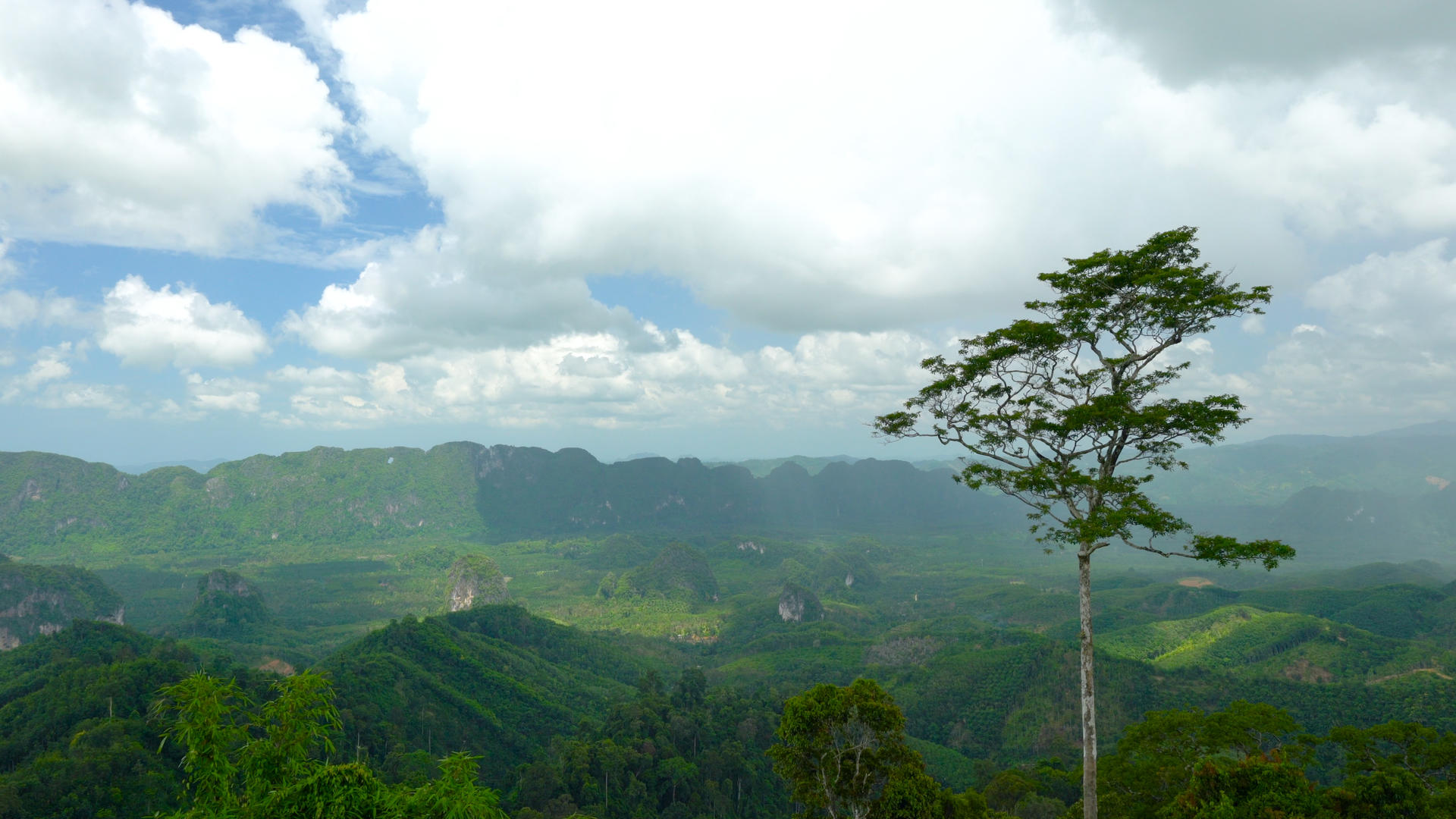 4k泰国南部山地山区热带雨林延时4K视频的预览图