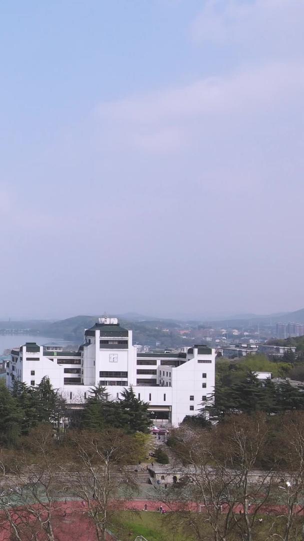 武汉大学校园樱花大道樱花顶古建筑材料视频的预览图
