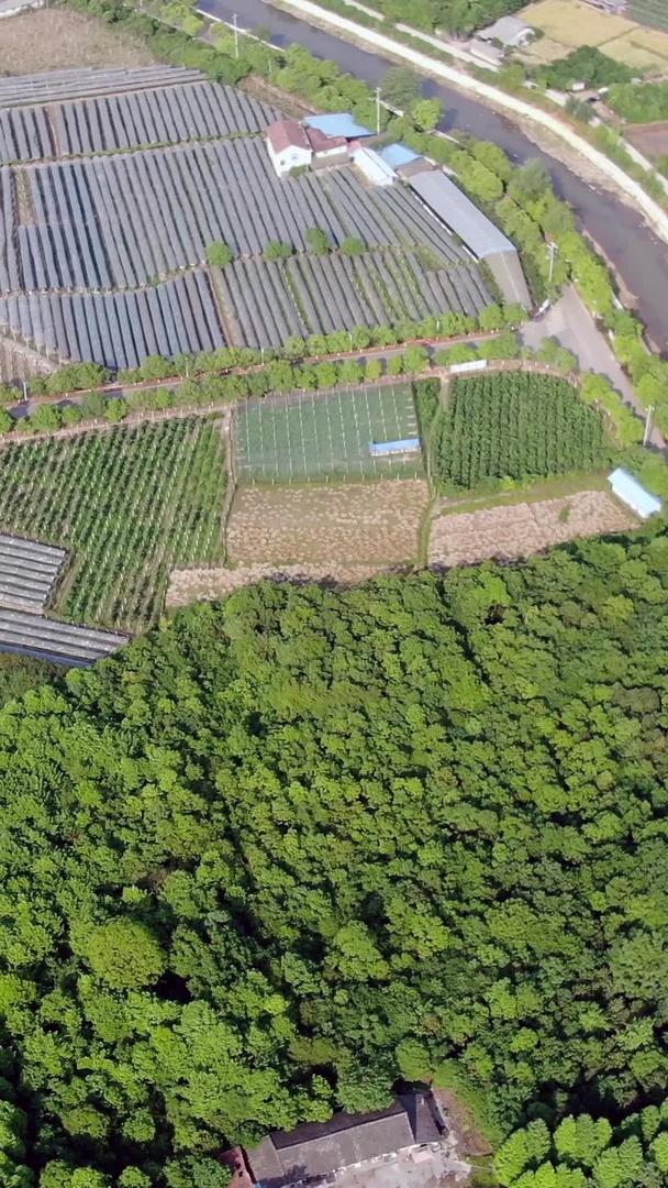 农业种植基地航拍视频的预览图