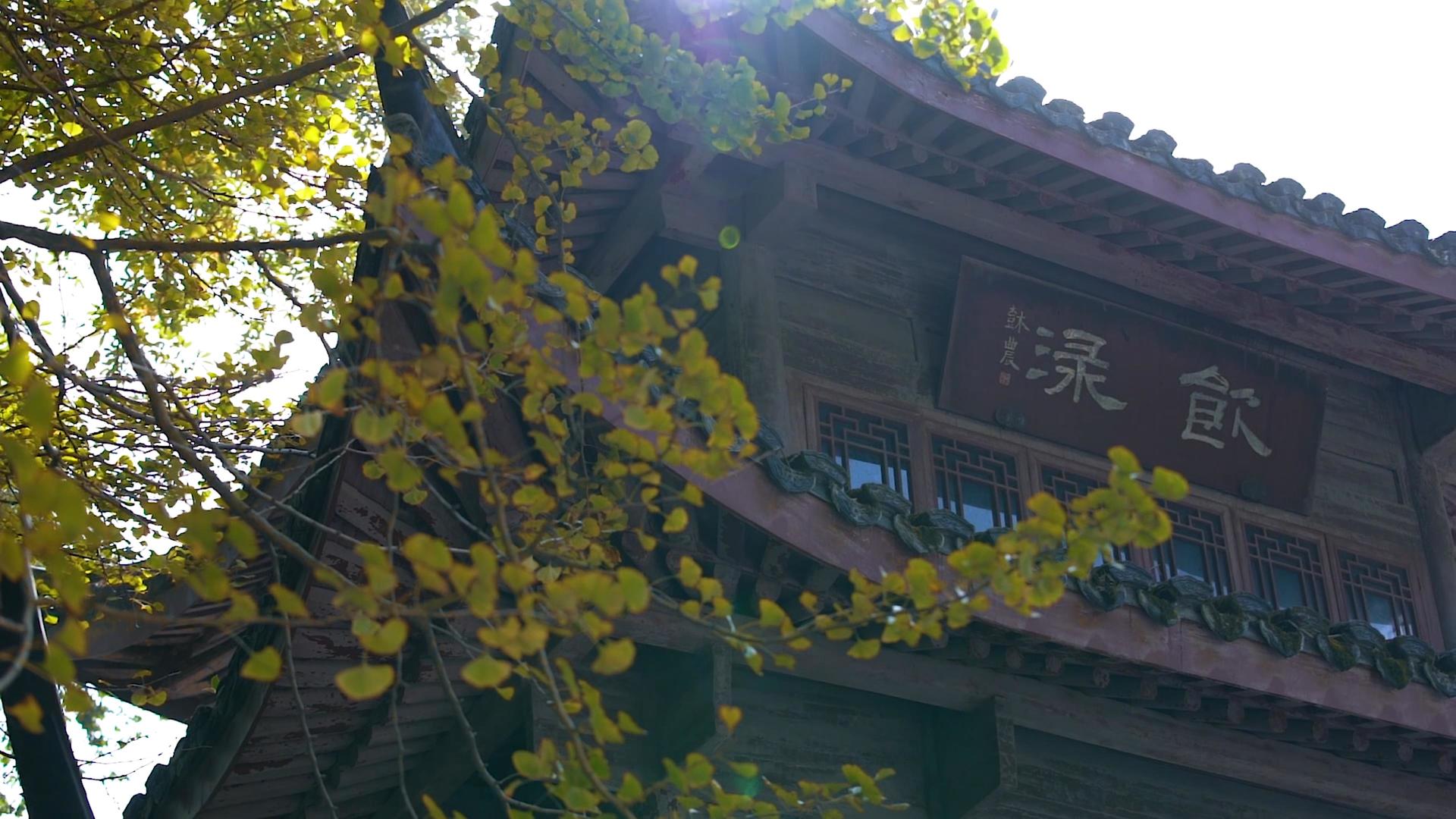 江南木式楼阁仰拍视频视频的预览图