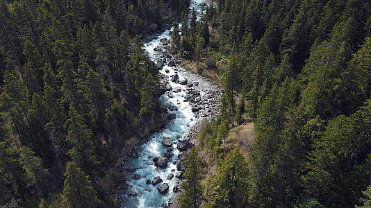 4K航拍森林小溪天然碧绿流水视频的预览图