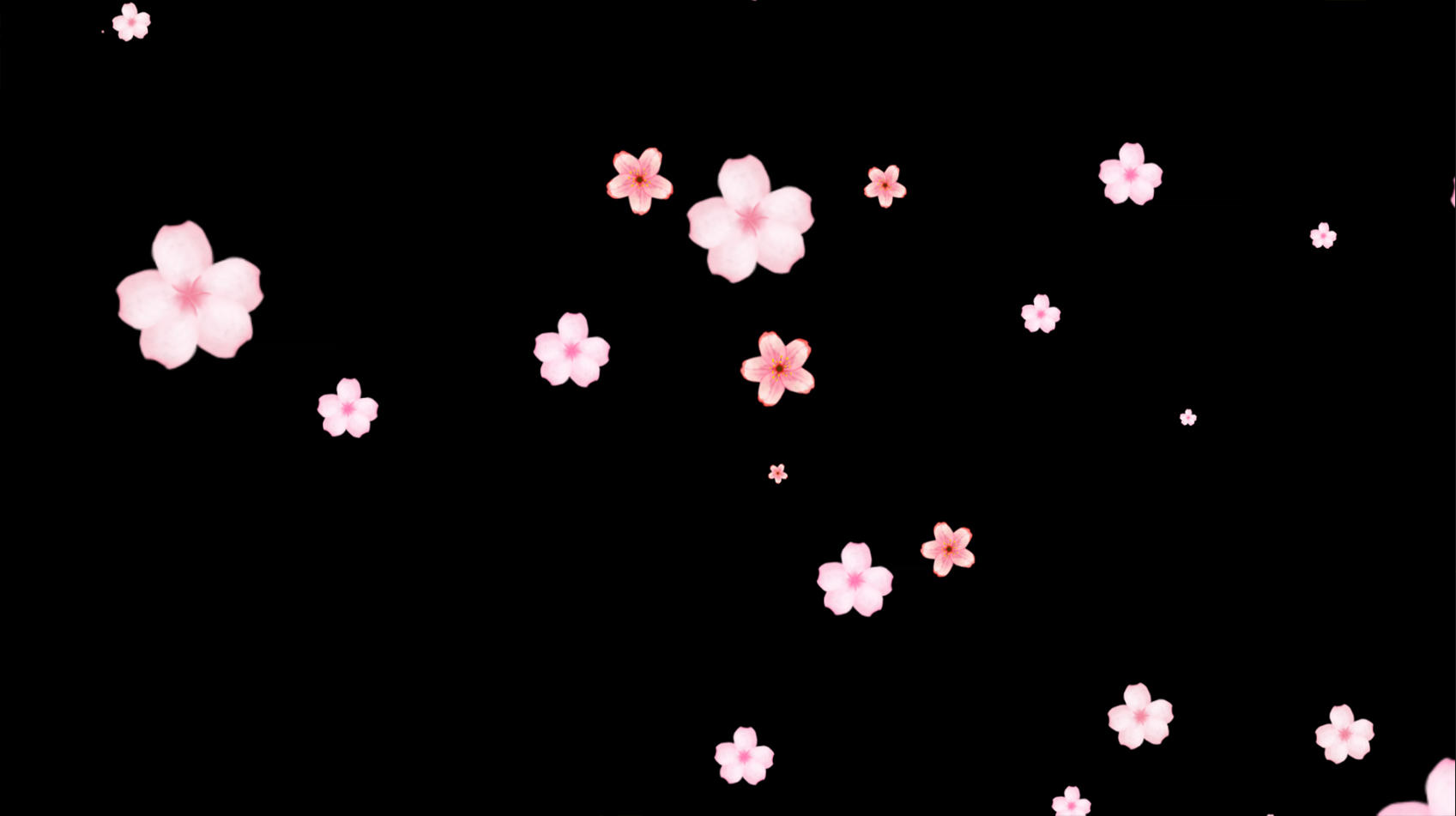 粉色桃花飘落元素带透明通道视频的预览图