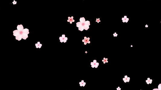粉色桃花飘落元素带透明通道视频的预览图