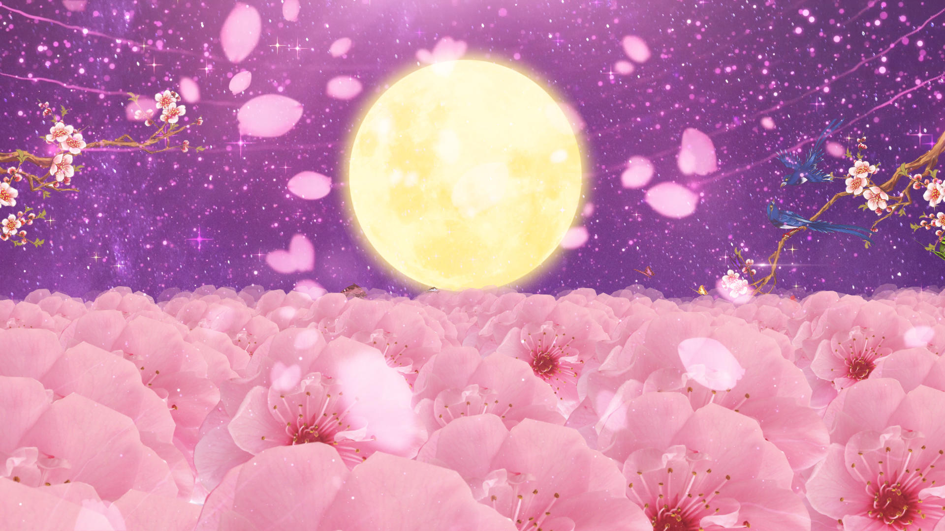 唯美的夜色粒子桃花视频的预览图
