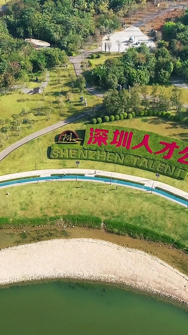 深圳南山区人才公园航拍视频的预览图