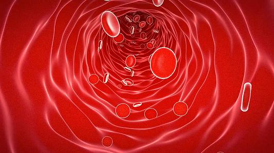 微观血管红细胞穿梭循环动画视频的预览图