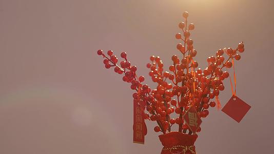 4K春节装饰年夜花喜庆气氛视频的预览图