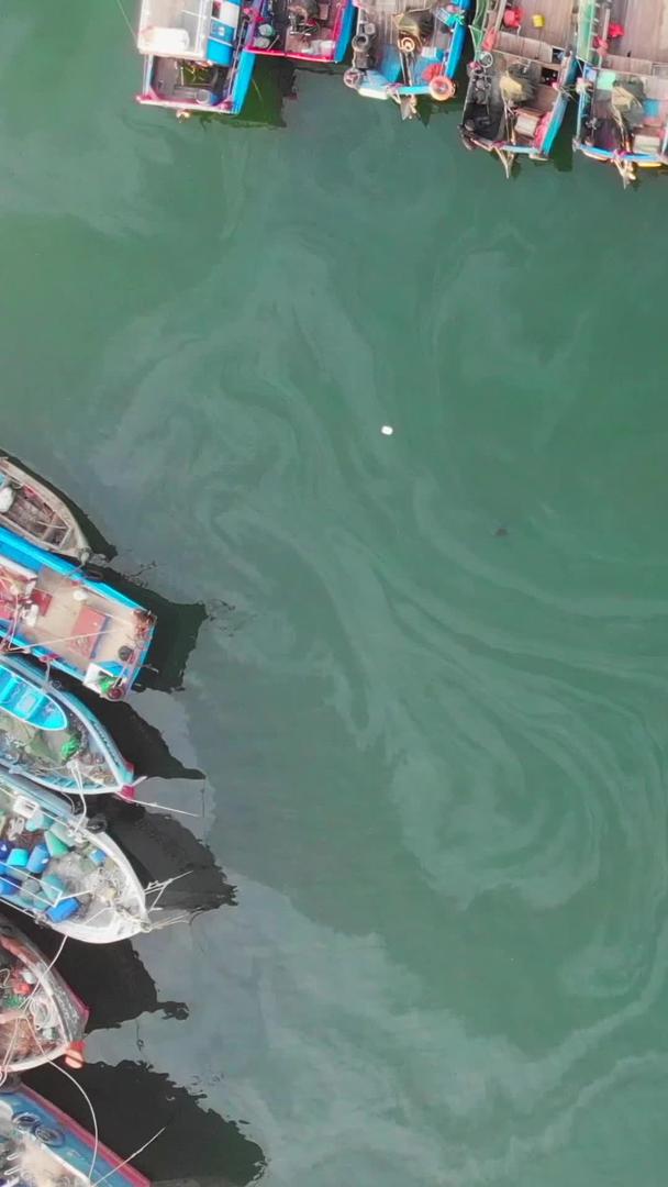大连地标渔人码头渔船航拍视频的预览图