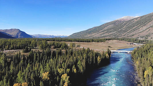 新疆喀纳斯森林溪水视频的预览图