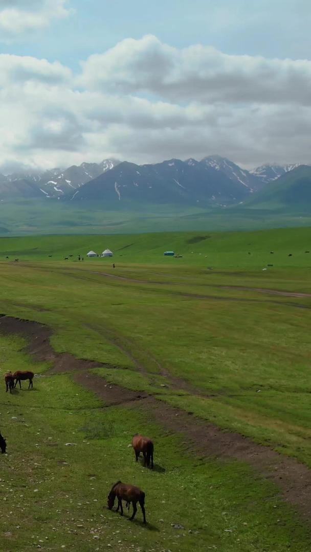 5A景区那拉提草原河流毡房和马群放牧视频视频的预览图