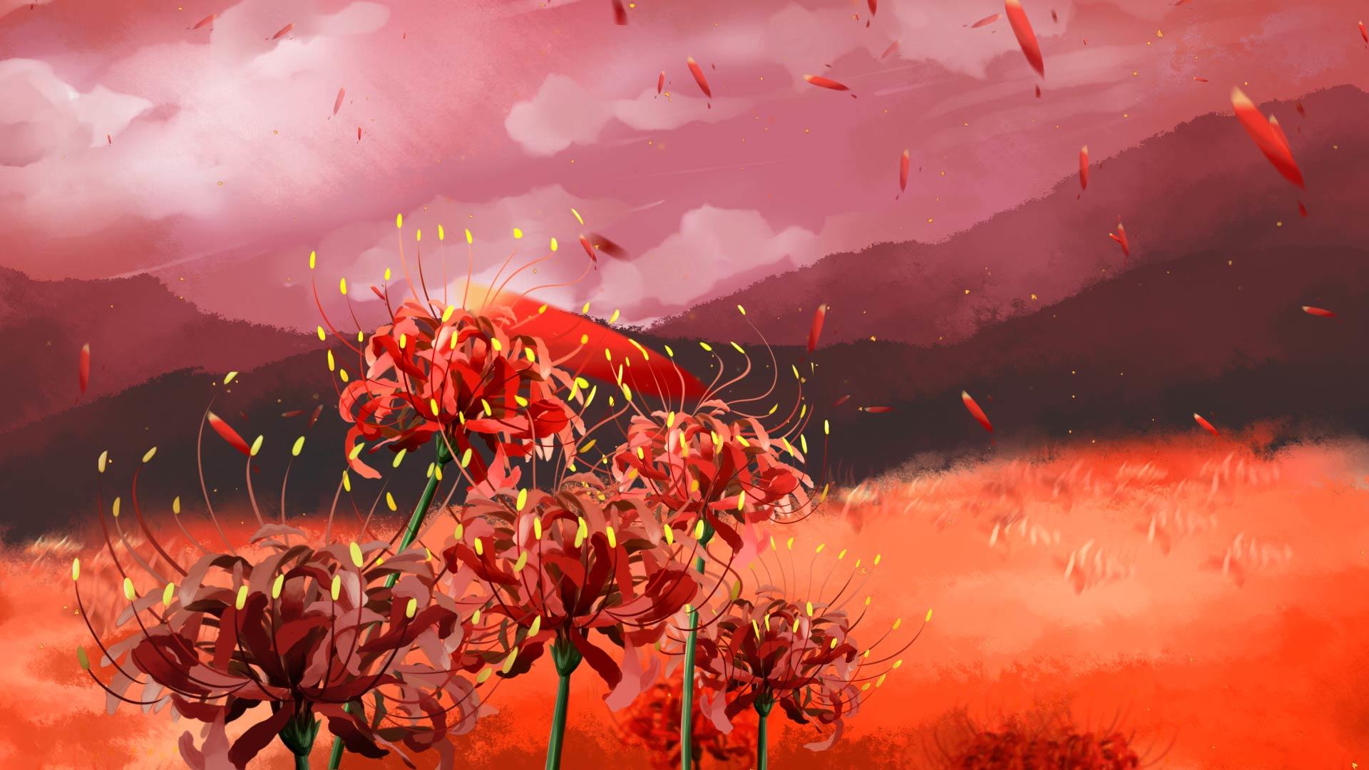 曼珠沙华花朵背景视频的预览图