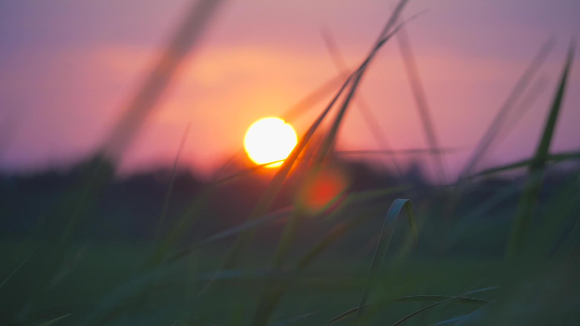 4K实拍夕阳落日唯美空镜视频的预览图