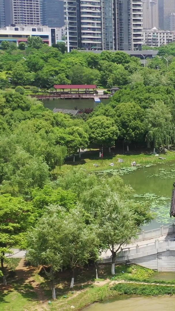 武汉沙湖景区航拍视频视频的预览图