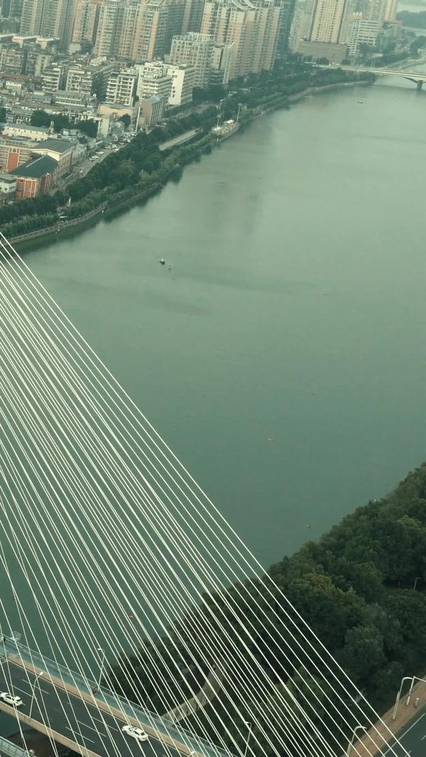 武汉月湖桥横跨汉江车水马龙视频的预览图