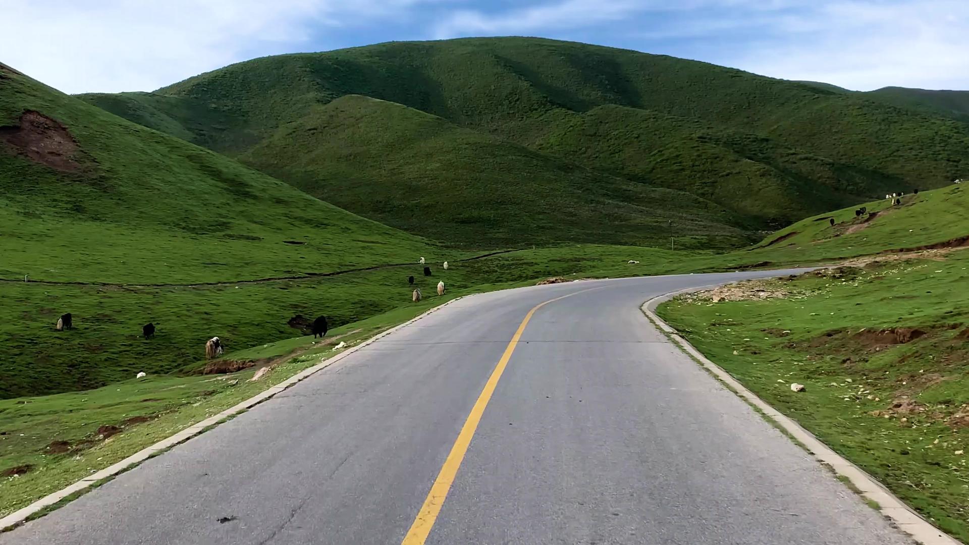 自驾行驶在盘山公路第一视角视频视频的预览图