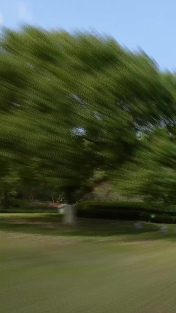 首视穿梭秋天公园视频的预览图