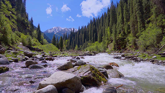 新疆伊犁恰西峡谷溪流蓝天白云森林小溪风光实拍视频的预览图