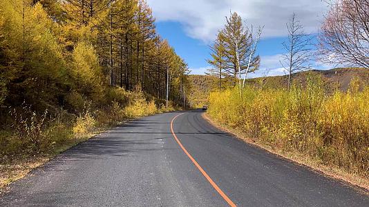 第一开车视角秋季内蒙古大兴安岭阿尔山国家森林公园视频视频的预览图