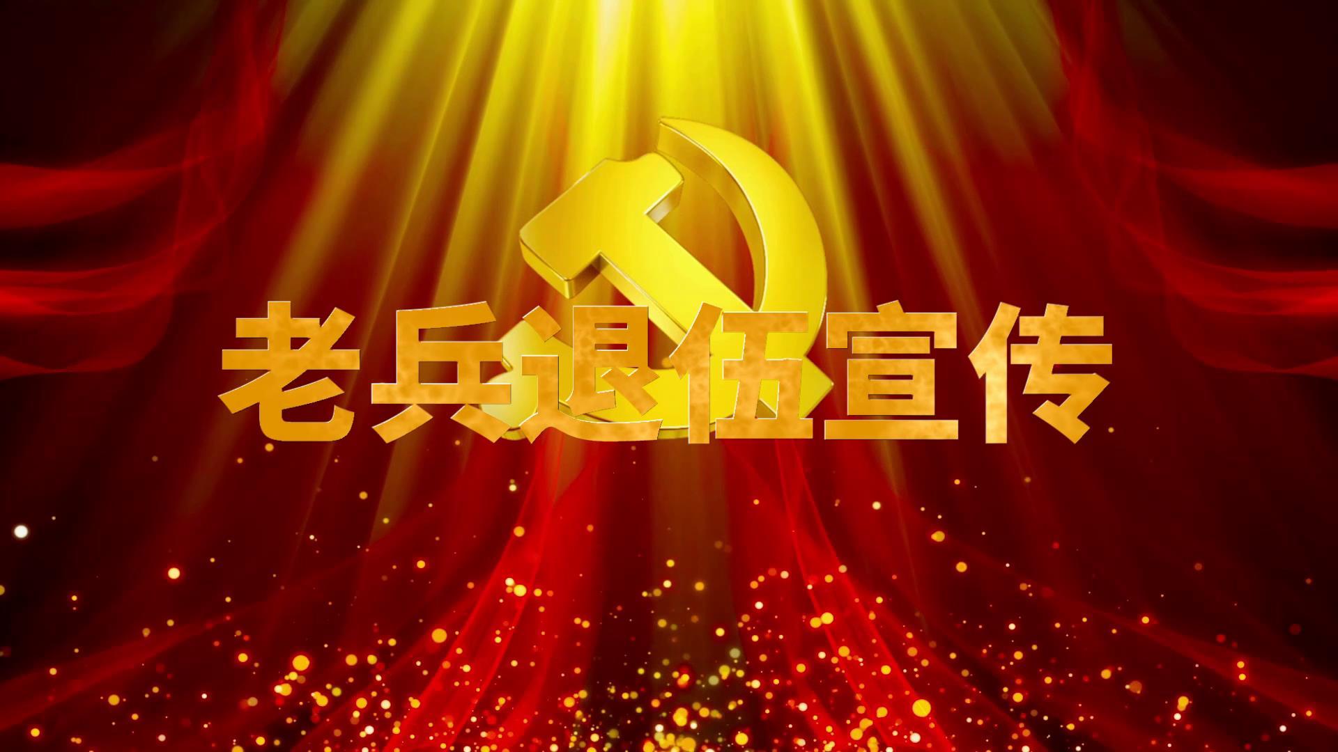 红绸党政退伍老兵宣传视频的预览图