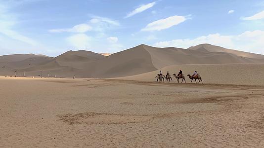 甘肃著名旅游景点鸣沙山沙漠骆驼视频视频的预览图